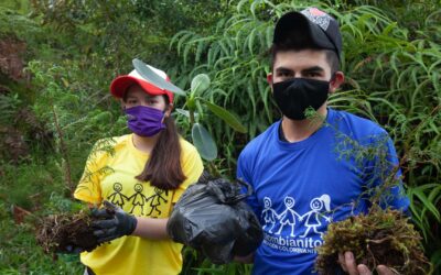 Jóvenes reforestadores de paz en Ubalá